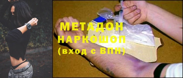 прущие грибы Аркадак
