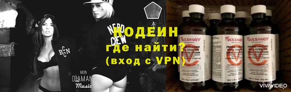 прущие грибы Аркадак