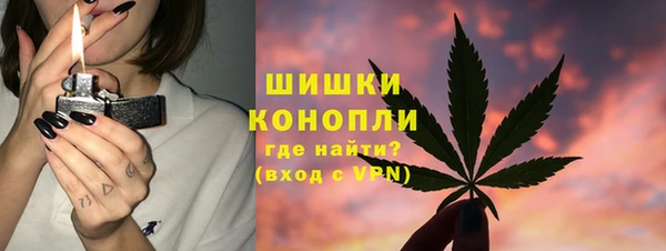 прущие грибы Аркадак