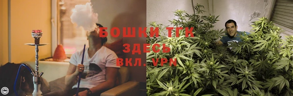 прущие грибы Аркадак
