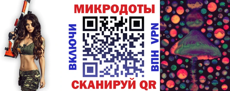 где можно купить наркотик Салехард Галлюциногенные грибы мицелий
